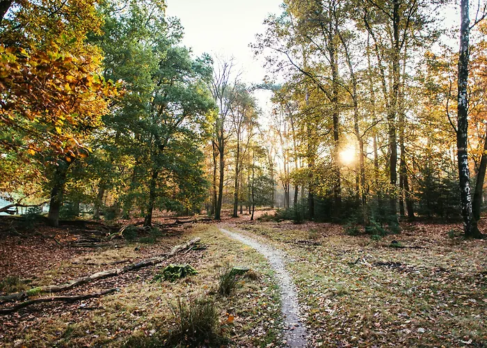 Van Der Valk Apeldoorn - De Cantharel